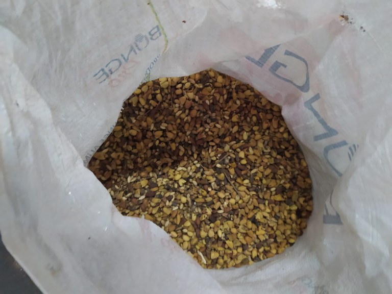 WhatsApp Image 2023-08-22 at 14.09.24.jpeg