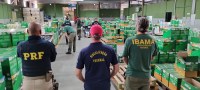 Ibama, Mapa e PRF participam de operação conjunta de fiscalização de agrotóxicos biológicos e químicos ilegais