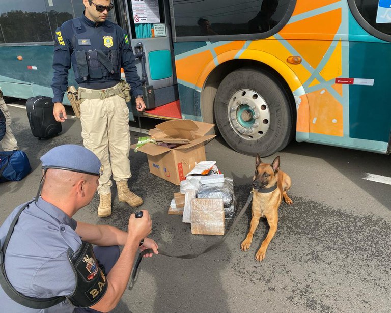 operação 9del.jfif1.jfif