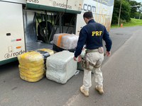 Operação Cães de Guarda: PRF, BAEP e GCM utilizam cães para combater o tráfico de drogas na BR 153