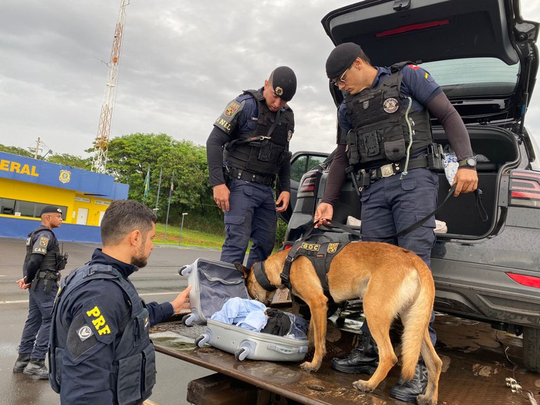 operação 9del.jfif