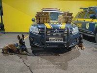 PRF apreende 54kg de pasta base de cocaína em Ourinhos