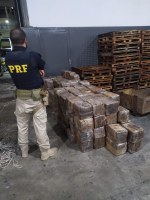 PRF apreende 880 Kg de maconha na rodovia Régis Bittencourt