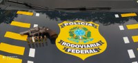 PRF apreende arma de fogo e recupera veículo com apropriação indébita na Régis Bittencourt