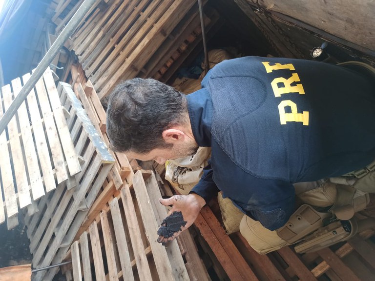 ouro negro.jfif1.jfif