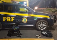 PRF apreende haxixe em Ourinhos/SP