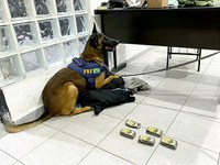 PRF apreende haxixe na Via Dutra