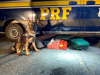 PRF apreende Maconha e Ecstasy na Dutra