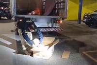 PRF apreende maconha em Registro/SP