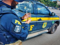 PRF apreende pássaro em extinção na Fernão Dias