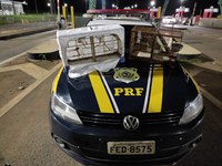 PRF apreende pássaros silvestres na BR 153