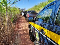 PRF participa de operação com o Ministério Público do Trabalho e o Ministério do Trabalho com foco na fiscalização das condições de trabalho em canaviais de Campinas em São Paulo