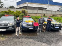 PRF, Polícia Militar de São Paulo e Guardas Municipais de Mairiporã, Caieiras e Franco da Rocha apreendem droga em ação conjunta