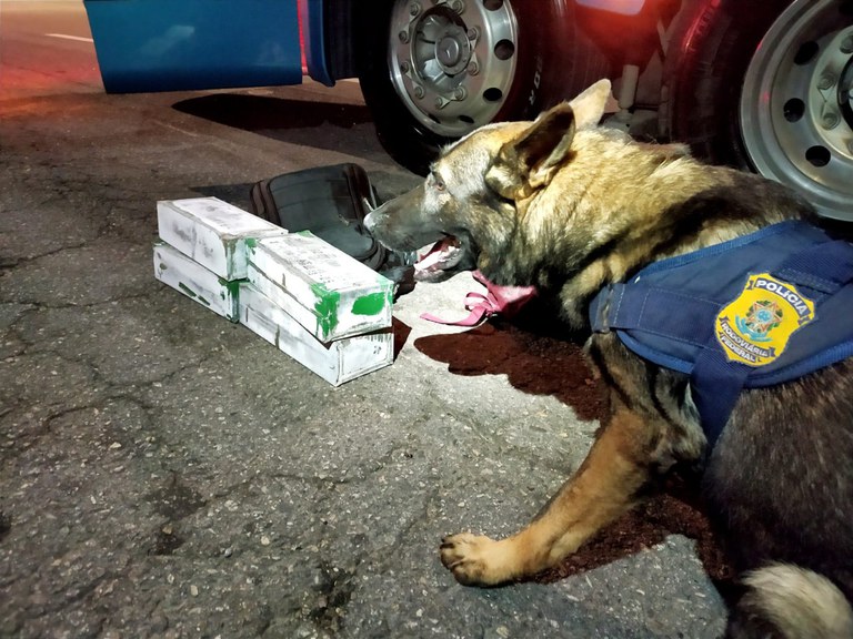 WhatsApp Image 2023-01-26 at 01.47.04.jpeg