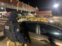 PRF prende motorista de aplicativo transportando 10kg de maconha na via Dutra