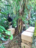 PRF recupera carga saqueada na Régis Bittencourt