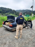 PRF recupera parte carga saqueada