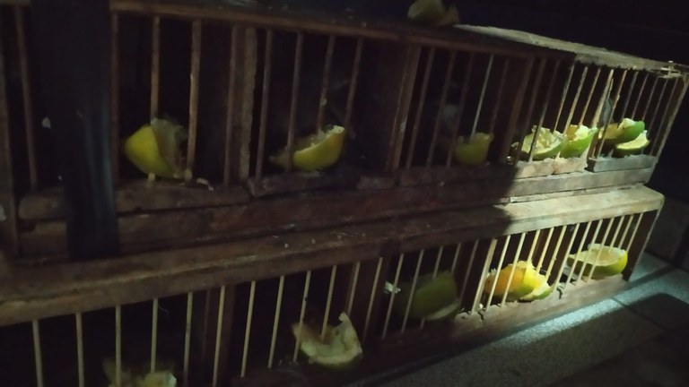 WhatsApp Image 2023-01-16 at 07.25.10.jpeg