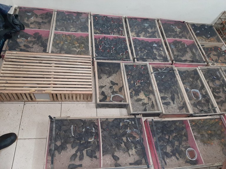 WhatsApp Image 2023-08-28 at 13.17.34.jpeg