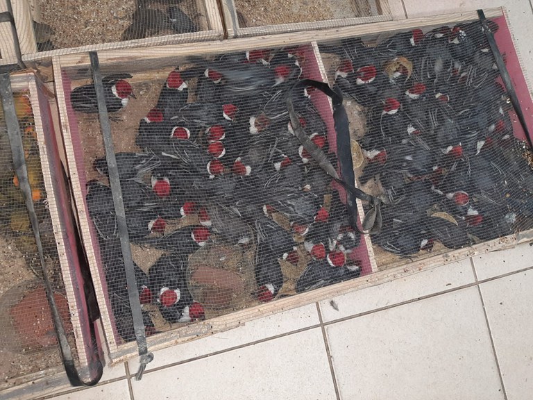 WhatsApp Image 2023-08-28 at 13.17.35.jpeg