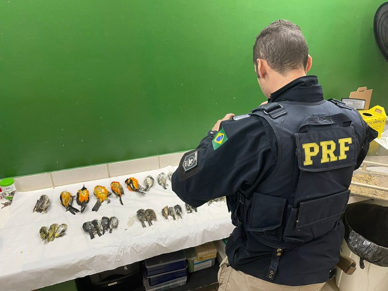 WhatsApp Image 2023-08-28 at 13.17.36 (1).jpeg