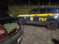 PRF resgata pássaros na Régis Bittencourt