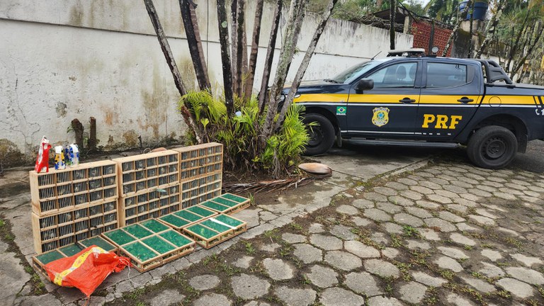 WhatsApp Image 2023-08-10 at 10.35.57.jpeg