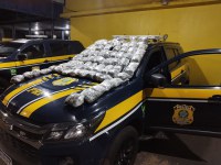 PRF apreende skunk e prende homem por tráfico de drogas na BR-153 em Ourinhos/SP