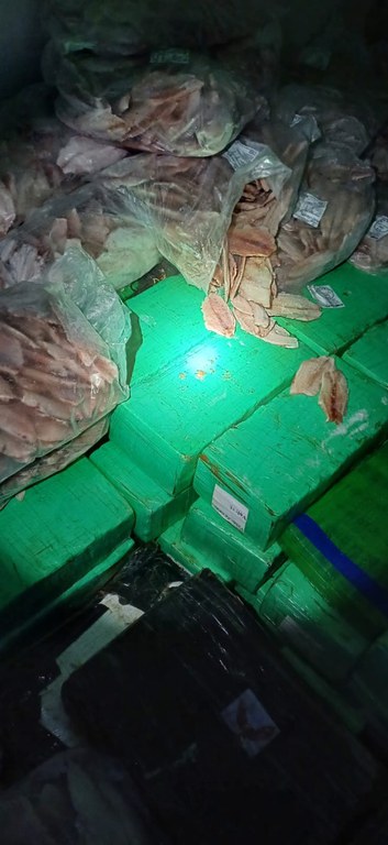 WhatsApp Image 2025-06-05 at 19.34.48.jpeg