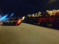 PRF apreende oliveiras argentinas contrabandeadas na Rodovia Régis Bittencourt