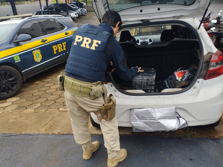 WhatsApp Image 2025-10-31 at 15.05.33.jpeg