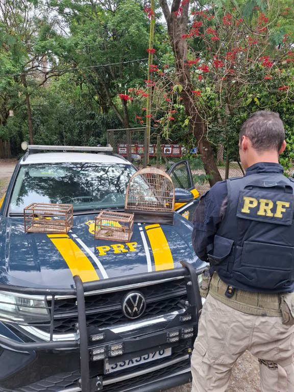 WhatsApp Image 2025-10-15 at 17.46.26.jpeg