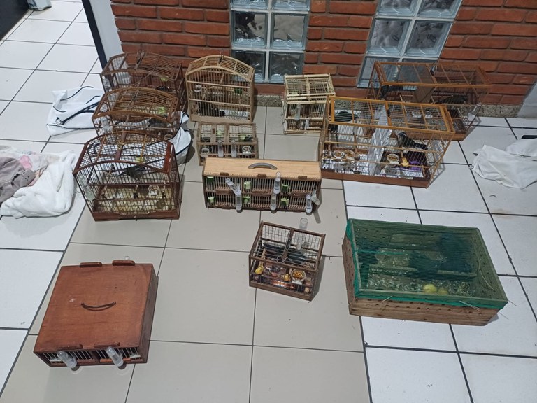 WhatsApp Image 2025-06-13 at 09.00.00.jpeg