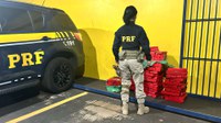 PRF intercepta veículo roubado e apreende quase 170 Kg de maconha em Ourinhos/SP