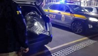 PRF persegue e prende motorista com sacos de droga na BR-381 em Mairiporã