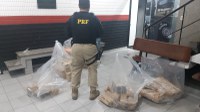 Após fuga e perseguição, PRF apreende 173 quilos de maconha na Dutra