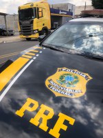 Após perseguição, PRF recupera cavalo trator roubado