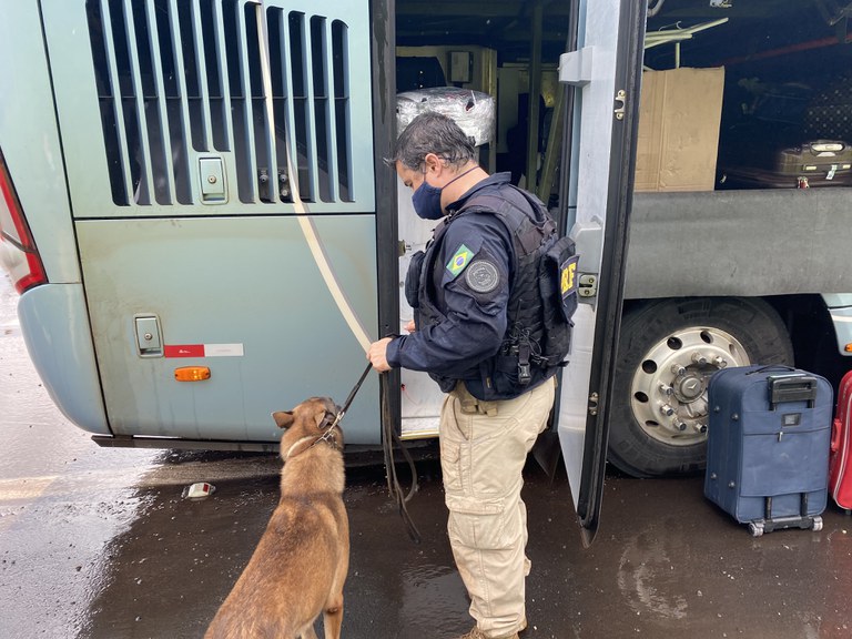 Operação com Cães Ônibus.jpeg
