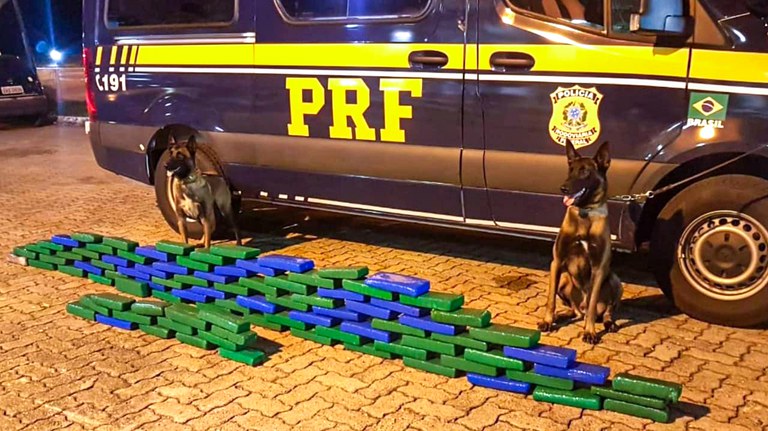 70 Kg de maconha apreendida pela PRF (Grupo de Operação com Cães)