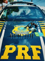 Em Mairiporã/SP, PRF prende indivíduos com revólver com numeração raspada