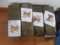 Em Ourinhos/SP, PRF apreende mais de 500 quilos de maconha