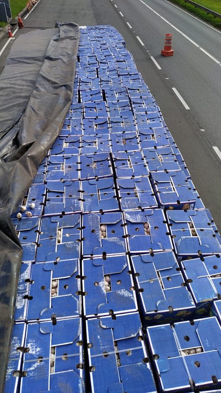 WhatsApp Image 2022-04-19 at 18.44.34.jpeg