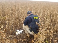 Motorista de carro de luxo é preso após realizar manobras perigosas na BR 369