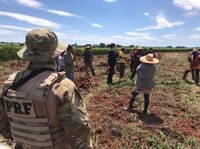 MPT e PRF fazem ação conjunta de combate ao trabalho escravo no centro-oeste paulista