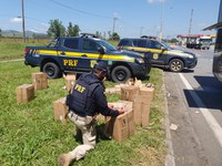 No Vale do Paraíba, PRF apreende insumos que seriam utilizados para falsificar cervejas