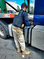 Operação da PRF flagra 3 caminhões cometendo crime contra o meio ambiente