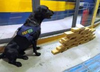 Passageiro de 19 anos é preso pela PRF por tráfico de drogas