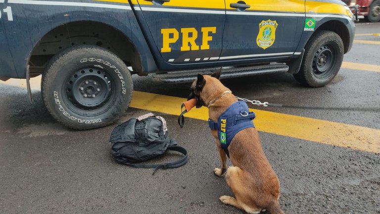 WhatsApp Image 2021-03-02 at 18.09.04 (1).jpeg