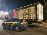 PRF apreende 10.800 garrafas de cachaça que saiu de SP para MG