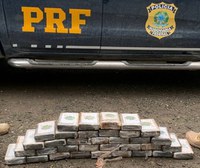 PRF apreende 37 quilos de cocaína na Régis Bittencourt